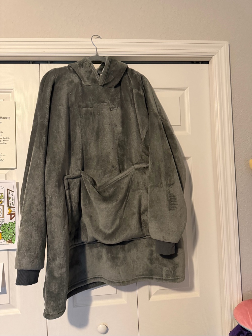Source Unknown Plush Oversized Hooded Sweatshirt - Gray Green